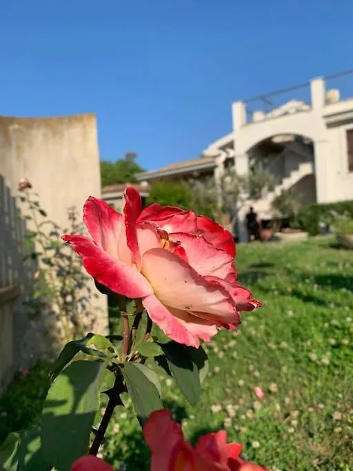 Villa A 2 Passi Dal Mare Àrbatax